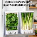 idrop 2 PCS – Herb Fresh Keeping Storage Box Cilantro Spring Onion Garlic Mint Asparagus Hydroponic Refrigerator Organizer Fresh Container Set Set Kotak Penyimpanan Herba Segar Ketumbar Bawang Putih Pudina Hidroponik Bekas Peti Sejuk Penjagaan Kesegaran