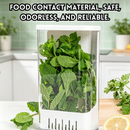 idrop 2 PCS – Herb Fresh Keeping Storage Box Cilantro Spring Onion Garlic Mint Asparagus Hydroponic Refrigerator Organizer Fresh Container Set Set Kotak Penyimpanan Herba Segar Ketumbar Bawang Putih Pudina Hidroponik Bekas Peti Sejuk Penjagaan Kesegaran