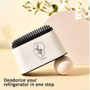 Idrop Refrigerator Deodorizer Box With Charcoal Pack / Kotak Penyahbau Peti Sejuk Dengan Pek Arang / 冰箱除味盒带炭包