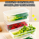 idrop 4 PCS - Antibacterial Food Storage Container Fresh Keeper with Drain for Coriander Ginger Garlic Fridge Storage Food Grade Kitchen Organizer, Bekas Simpan Makanan Antibakteria Daun Bawang dan Bawang Putih Penyimpanan Peti Sejuk Gred Makanan