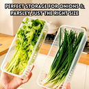 idrop 4 PCS - Antibacterial Food Storage Container Fresh Keeper with Drain for Coriander Ginger Garlic Fridge Storage Food Grade Kitchen Organizer, Bekas Simpan Makanan Antibakteria Daun Bawang dan Bawang Putih Penyimpanan Peti Sejuk Gred Makanan