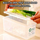idrop 4 PCS - Antibacterial Food Storage Container Fresh Keeper with Drain for Coriander Ginger Garlic Fridge Storage Food Grade Kitchen Organizer, Bekas Simpan Makanan Antibakteria Daun Bawang dan Bawang Putih Penyimpanan Peti Sejuk Gred Makanan
