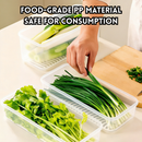idrop 4 PCS - Antibacterial Food Storage Container Fresh Keeper with Drain for Coriander Ginger Garlic Fridge Storage Food Grade Kitchen Organizer, Bekas Simpan Makanan Antibakteria Daun Bawang dan Bawang Putih Penyimpanan Peti Sejuk Gred Makanan