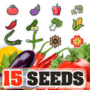 idrop 15pcs SEEDS - Tomato / Egg Plant / Bell Pepper /  Coriandur Leaves / Chilli Seed / Cucumber / Choy-Sun / Sweet Corn / Long Bean / Bean / Gazania / Garden Balsam