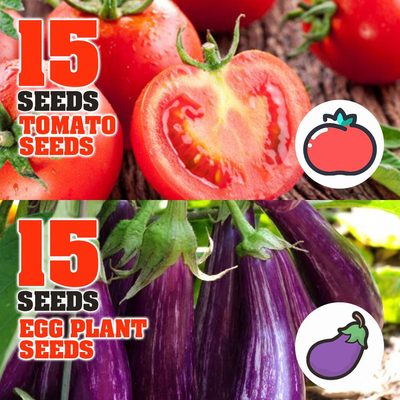 idrop 15pcs SEEDS - Tomato / Egg Plant / Bell Pepper /  Coriandur Leaves / Chilli Seed / Cucumber / Choy-Sun / Sweet Corn / Long Bean / Bean / Gazania / Garden Balsam