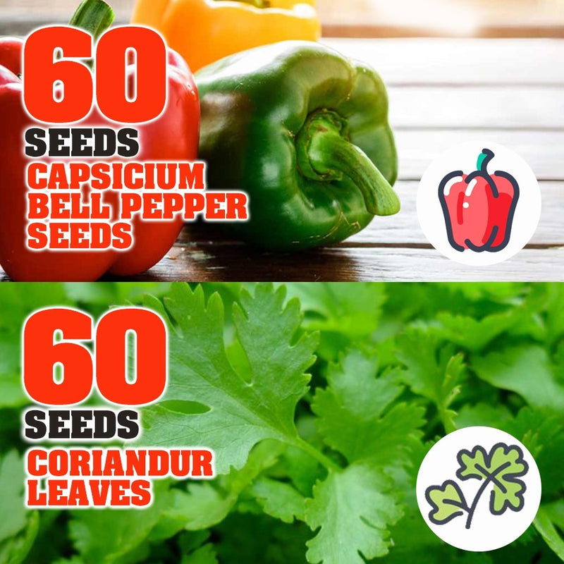 idrop 60pcs SEEDS - Tomato / Egg Plant / Bell Pepper /  Coriandur Leaves / Chilli Seed / Cucumber / Choy-Sun / Sweet Corn / Long Bean / Bean / Gazania / Garden Balsam -