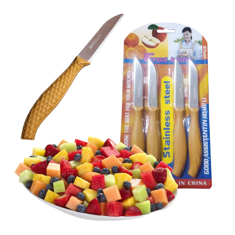 idrop 1 Set 4 Pcs Stainless Steel Fruit Vegetable Knives