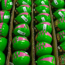 idrop Assembling 3D Puzzle Educational Egg Toy Insects For Kids Children (1 EGG/Piece )