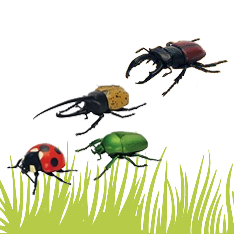 idrop Assembling 3D Puzzle Educational Egg Toy Beetles For Kids Children (1 EGG)