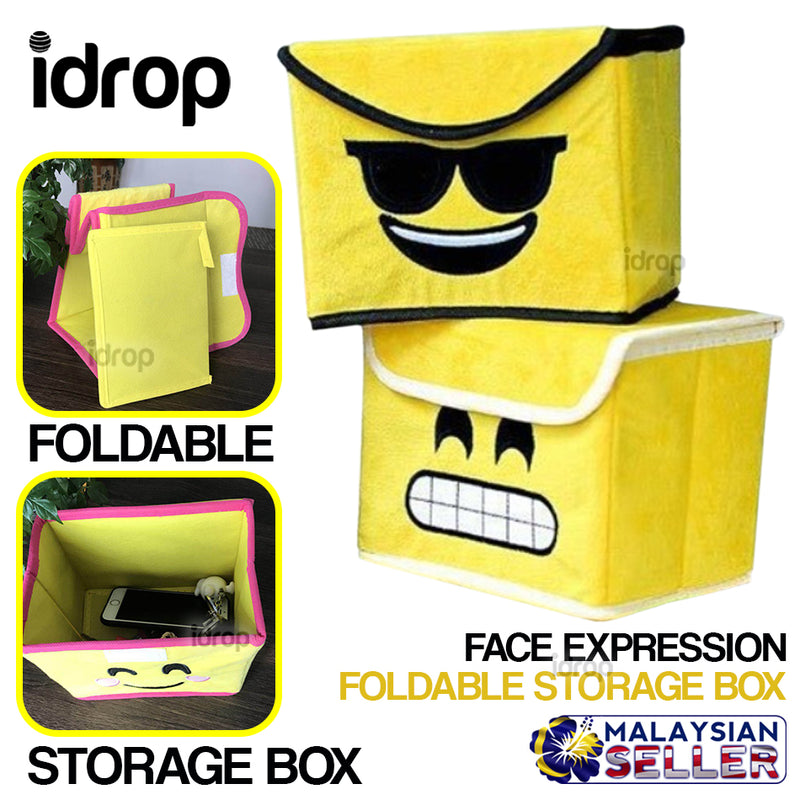 idrop Expression Compact Foldable Storage Box with Flip Cover