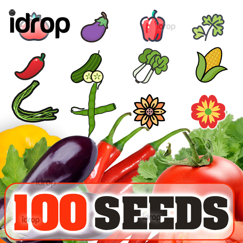 idrop 100pcs SEEDS - Tomato / Egg Plant / Bell Pepper /  Coriandur Leaves / Chilli Seed / Cucumber / Choy-Sun / Sweet Corn / Long Bean / Bean / Gazania / Garden Balsam