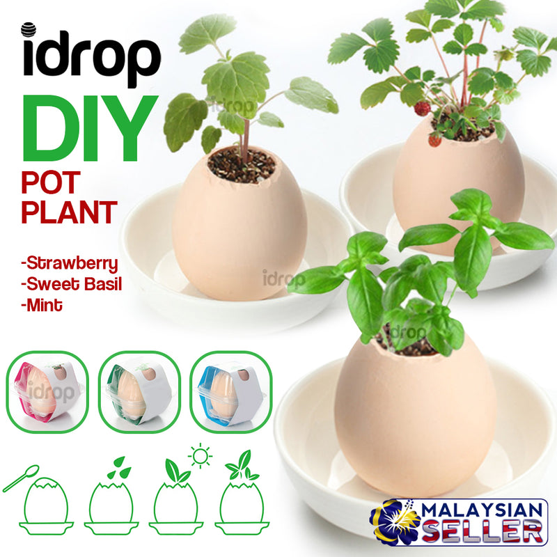 idrop PLANT EGG - DIY Mini Pot Plant [ Strawberry / Sweet Basil / Mint ]