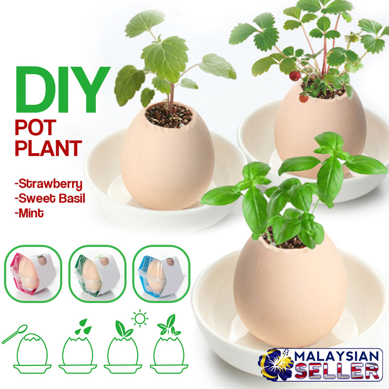 idrop PLANT EGG - DIY Mini Pot Plant [ Strawberry / Sweet Basil / Mint ]