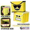 idrop Expression Compact Foldable Storage Box with Flip Cover