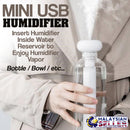 idrop Portable Mini USB Bottle Dip Humidifier