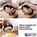 idrop Garlic Presser Handheld Press