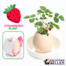 idrop PLANT EGG - DIY Mini Pot Plant [ Strawberry / Sweet Basil / Mint ]