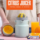 idrop 450ml FRUIT JUICER - Portable Compact Mini Juicer