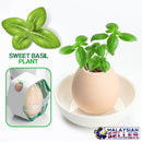 idrop PLANT EGG - DIY Mini Pot Plant [ Strawberry / Sweet Basil / Mint ]