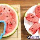 idrop POPSICLE WATERMELON Mould Shape Cutter Slicer