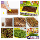 idrop ZILIPOO - 3D Puzzle & Plant Cultivation Education Set