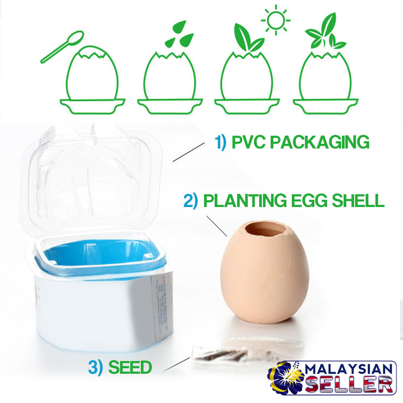 idrop PLANT EGG - DIY Mini Pot Plant [ Strawberry / Sweet Basil / Mint ]