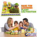 idrop ZILIPOO - 3D Puzzle & Plant Cultivation Education Set