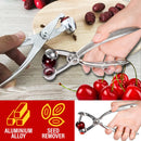 idrop Handheld Olive & Cherry Pitter Seed Remover