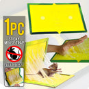 idrop Sticky Rat Mouse Foldable Adhesive Glue Trap Board [ 24cm x 17cm ]