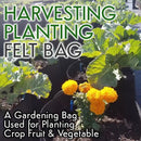 idrop Harvesting Non Woven Agriculture Planting Felt Bag [ Small / Medium / Big ]