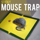 idrop Sticky Rat Mouse Foldable Adhesive Glue Trap Board [ 24cm x 17cm ]