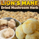 idrop 200g Dried Lion's Mane Mushroom Herb | （200克） 素食名菜特级猴头菇