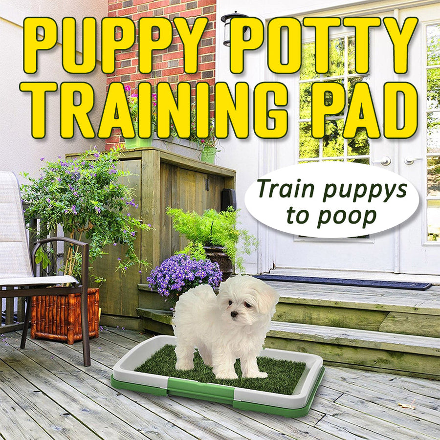 idrop Pet Puppy Potty Training Pad for Dogs Play Fake Grass Toilet Mat