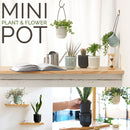 idrop [ 2pcs / 4pcs ] Mini Hanging Flower Plant Pot Decor