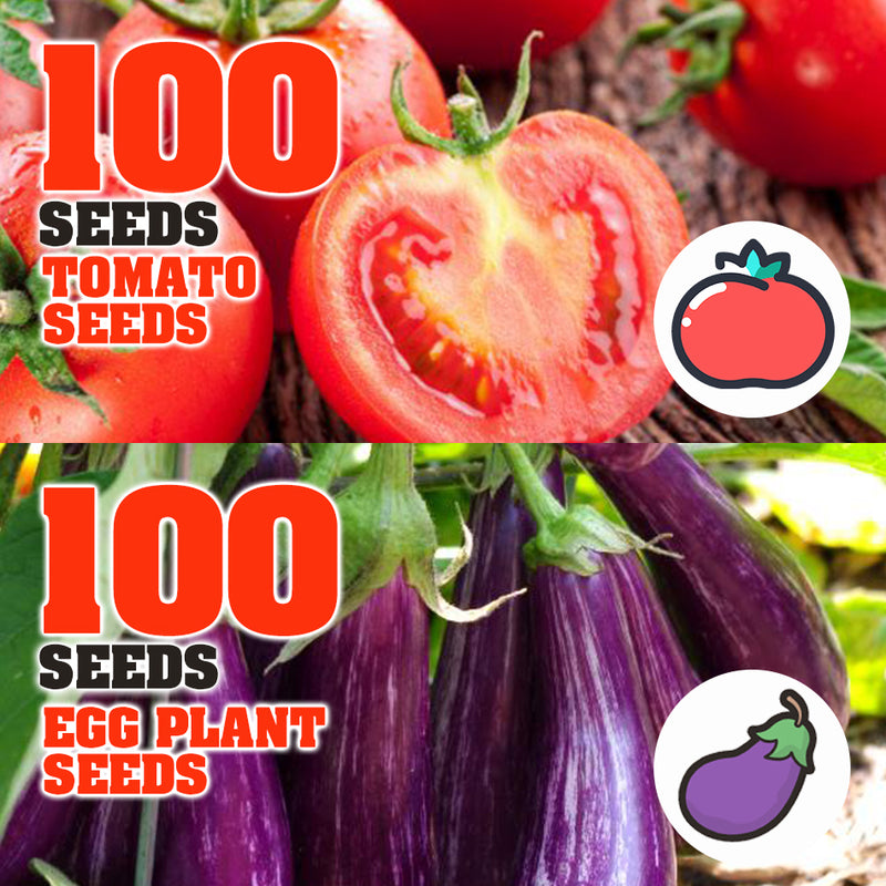 idrop 100pcs SEEDS - Tomato / Egg Plant / Bell Pepper /  Coriandur Leaves / Chilli Seed / Cucumber / Choy-Sun / Sweet Corn / Long Bean / Bean / Gazania / Garden Balsam