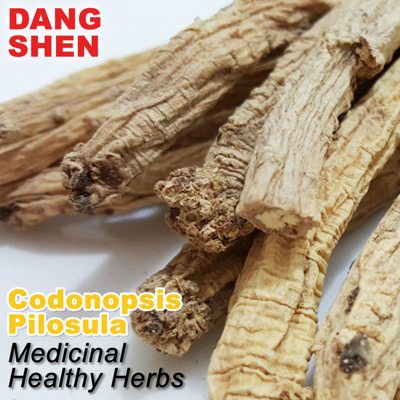 idrop 100g Herbal Codonopsis Pilosula Dang Shen Healthy Medicinal Herbs / (100克）党参 一等党参