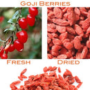 idrop 300g Goujiberry Healthy Goji Berry Wolfberry Premium Grade Berries |（300克）枸杞皇 / 杞子皇