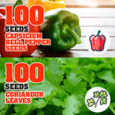 idrop 100pcs SEEDS - Tomato / Egg Plant / Bell Pepper /  Coriandur Leaves / Chilli Seed / Cucumber / Choy-Sun / Sweet Corn / Long Bean / Bean / Gazania / Garden Balsam