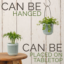 idrop [ 2pcs / 4pcs ] Mini Hanging Flower Plant Pot Decor