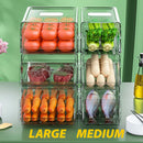 idrop [ MEDIUM / LARGE ] Kitchen Refrigerator Storage Box Drawer / Kotak Rak Peti Ais / 中号厨房冰箱收纳盒带沥水板 (抽屉款) [ 1 PIECE ]