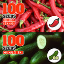 idrop 100pcs SEEDS - Tomato / Egg Plant / Bell Pepper /  Coriandur Leaves / Chilli Seed / Cucumber / Choy-Sun / Sweet Corn / Long Bean / Bean / Gazania / Garden Balsam