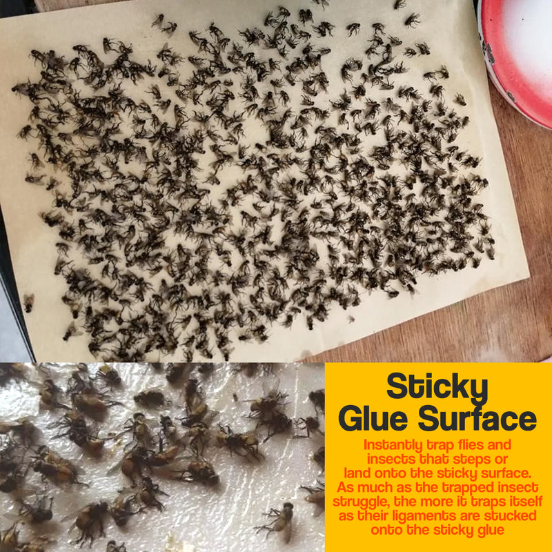 idrop [ 100PCS / BOX ] BEST Sticky Fly Trap / Perangkap Pelekat Lalat / 苍蝇贴纸(100P/BOX)