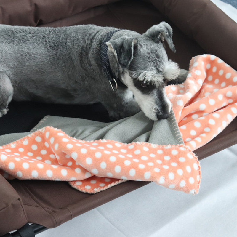 idrop Bolster Elevated Pet Dog Bed / Katil Tidur Anjing Haiwan Peliharaan / 高架宠物狗床