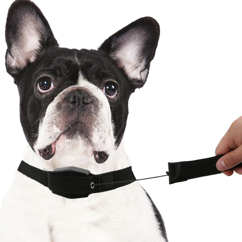 idrop PET LEASH - Magnetic Retractable Animal Cat Dog Collar Leash