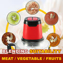 idrop 3L 2-Speed Kitchen Multifunction Electric Meat Vegetable Grinder Blender [ 300W ]