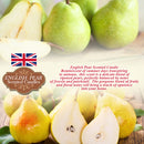 idrop ENGLISH PEAR Scented Candle / Lilin Wangi English Pear / 香薰蜡烛