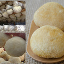 idrop 200g Dried Lion's Mane Mushroom Herb | （200克） 素食名菜特级猴头菇