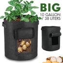 idrop Harvesting Non Woven Agriculture Planting Felt Bag [ Small / Medium / Big ]