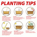 idrop Octagonal Plastic Flower Pot / Pasu Bunga Plastik Oktagonal / 塑料八角花盆(晟强塑业)20.5*20.5*12CM [ 1PC ]