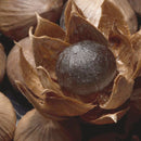 idrop 500g Herbal Black Garlic | 黑蒜